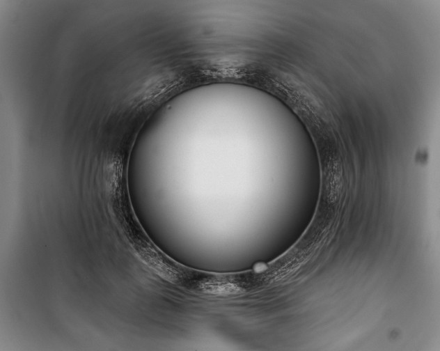 X0000101200747200806271350