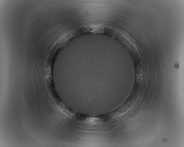 X0000101200748200806271350