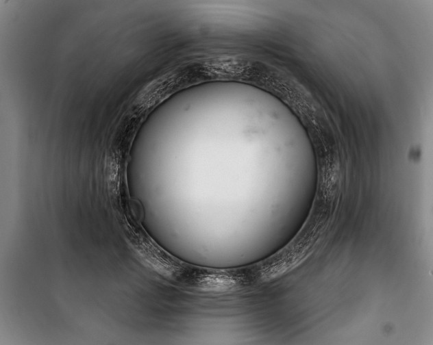 X0000101200749200806271350