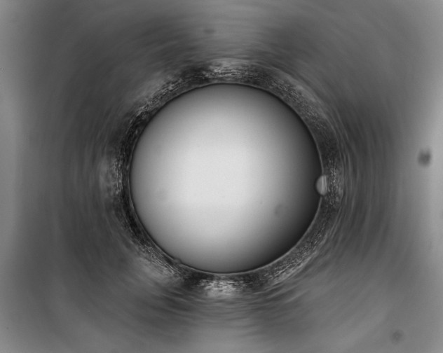X0000101200751200806271350