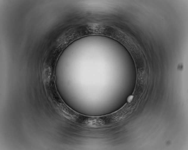 X0000101200752200806271350