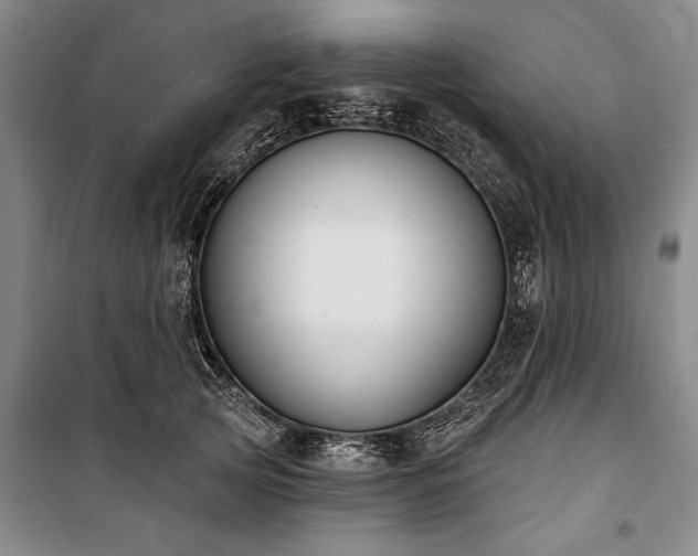 X0000101200753200806271350