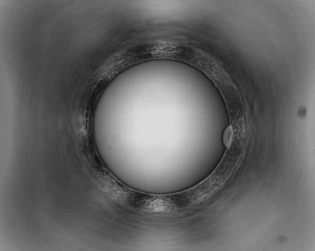 X0000101200755200806271350