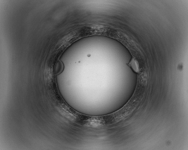 X0000101200756200806271350