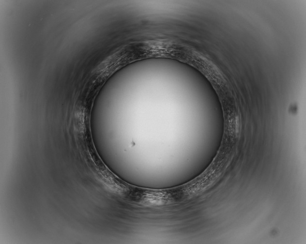 X0000101200757200806271350