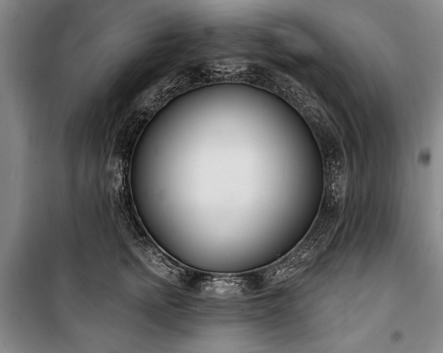 X0000101200758200806271350