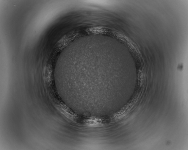 X0000101200760200806271350