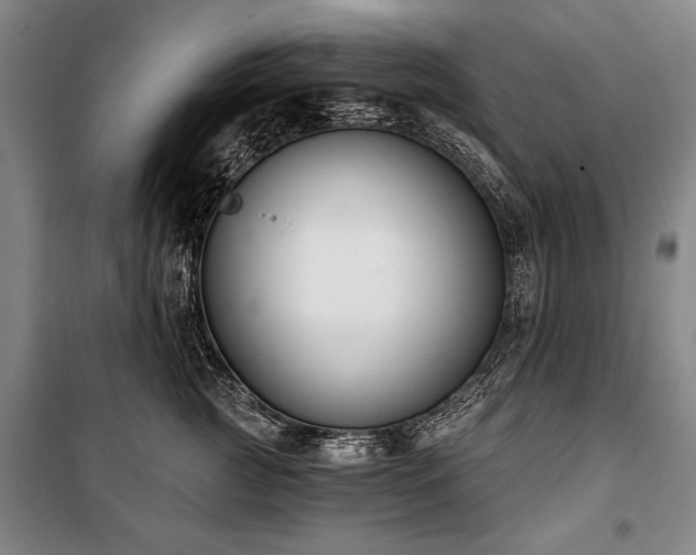 X0000101200761200806271350