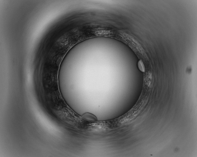 X0000101200763200806271351