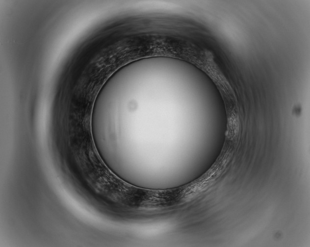 X0000101200765200806271351