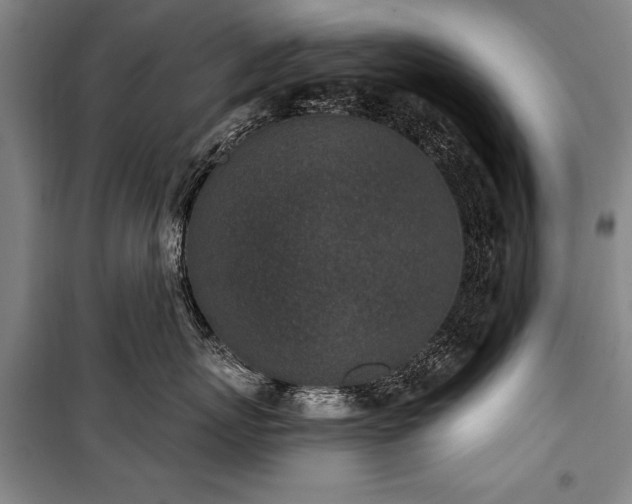 X0000101200767200806271351