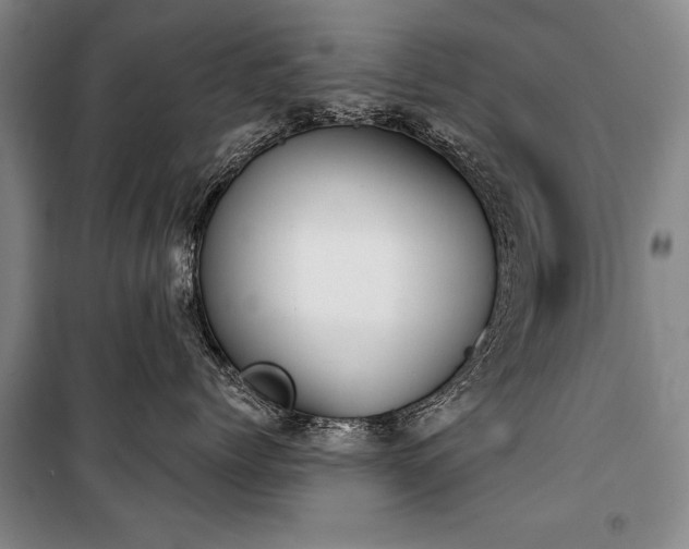 X0000101200768200806271351