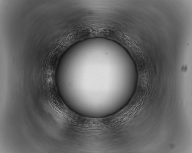X0000101200770200806271350