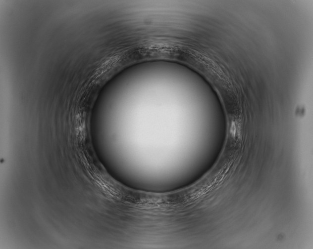 X0000101200771200806271350