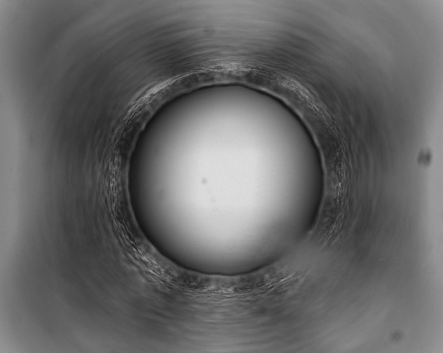 X0000101200773200806271350