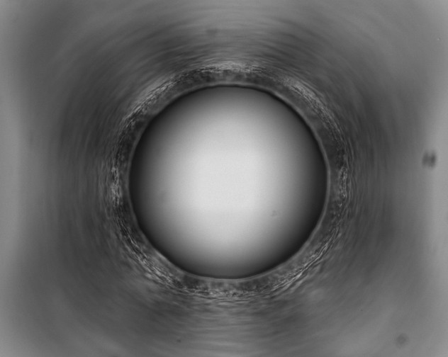 X0000101200774200806271350