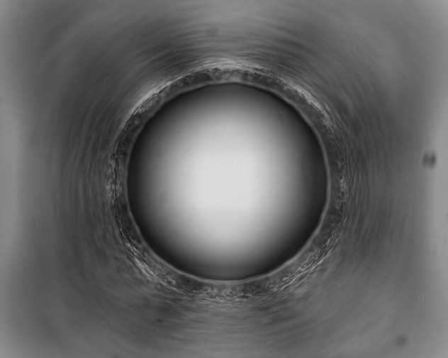 X0000101200775200806271350