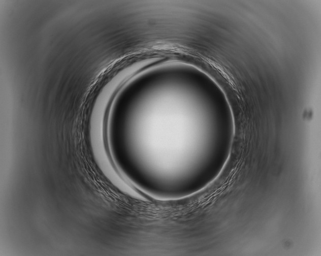 X0000101200776200806271350