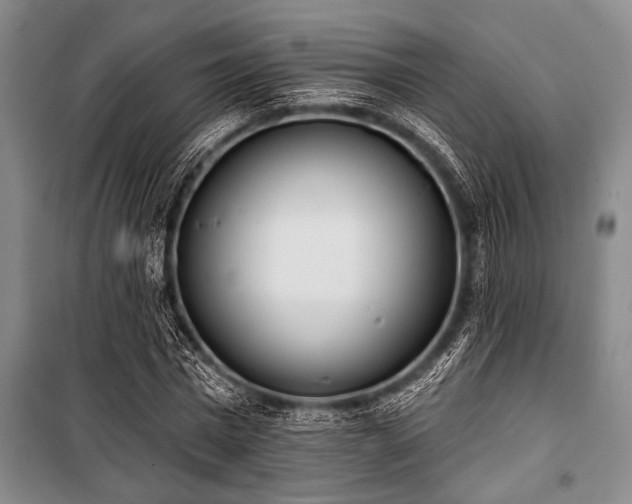 X0000101200777200806271350