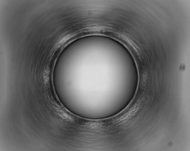 X0000101200778200806271350