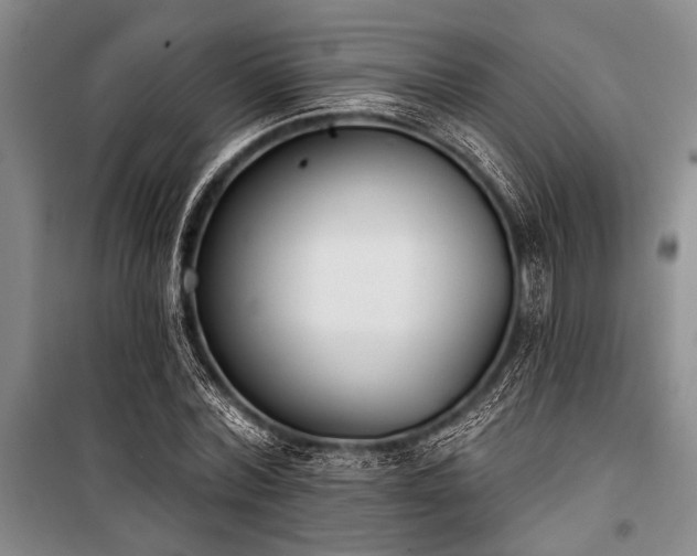 X0000101200780200806271350
