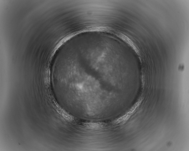 X0000101200781200806271350