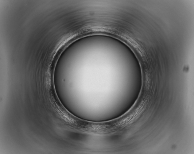X0000101200782200806271350