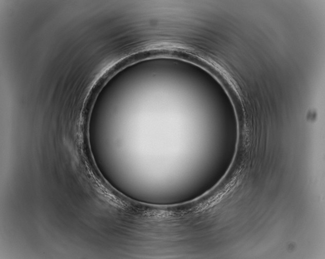 X0000101200783200806271350
