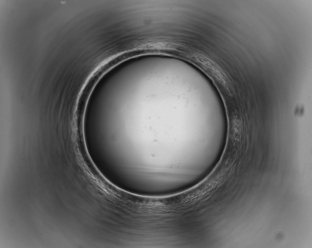 X0000101200784200806271350