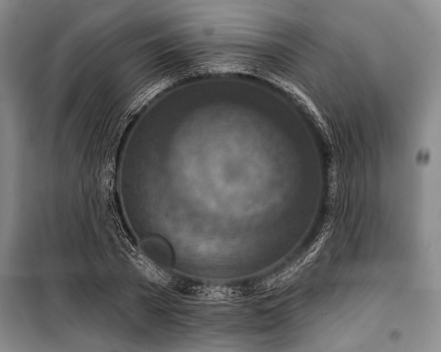 X0000101200785200806271350