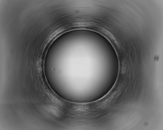 X0000101200786200806271350