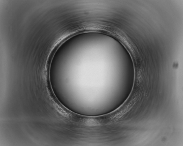 X0000101200787200806271350