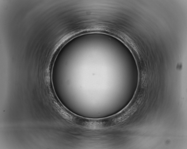X0000101200789200806271350