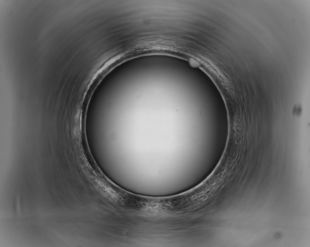 X0000101200790200806271350