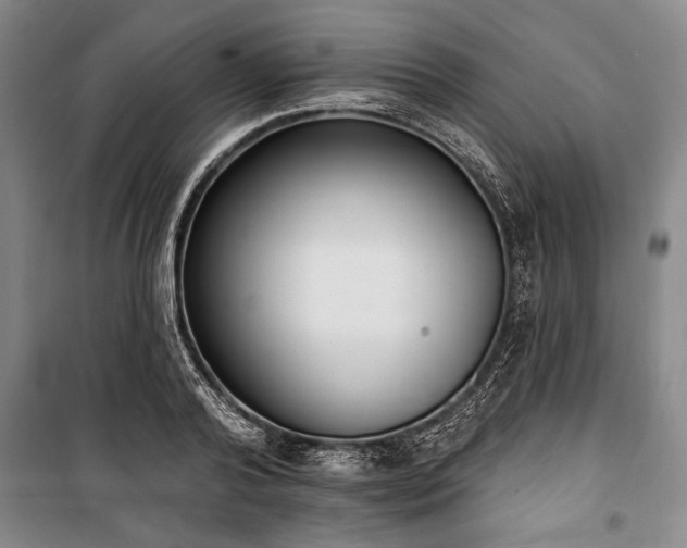 X0000101200792200806271350