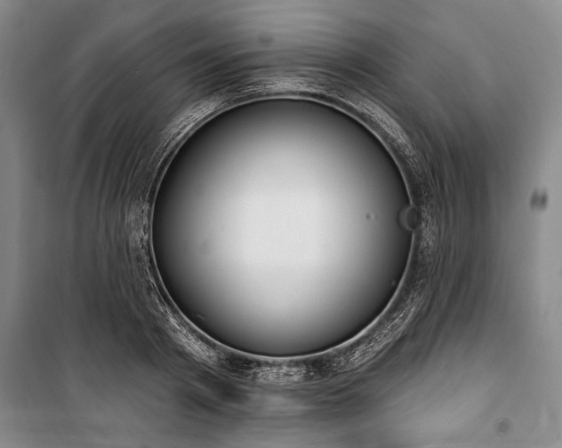 X0000101200793200806271350