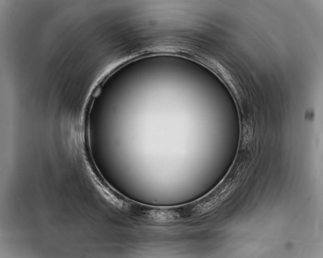 X0000101200795200806271350