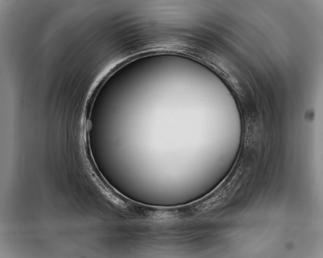 X0000101200796200806271349