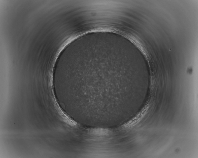 X0000101200797200806271349