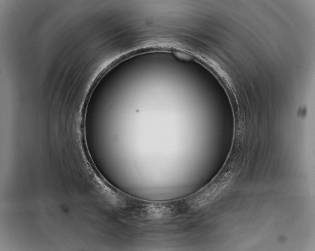 X0000101200799200806271349