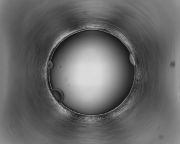 X0000101200803200806271349