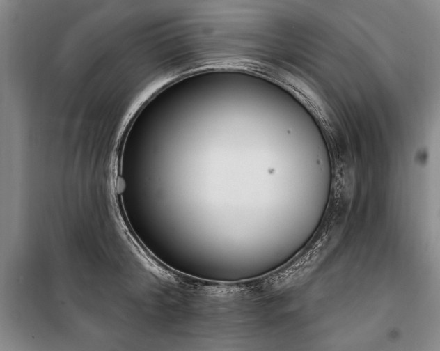 X0000101200804200806271349
