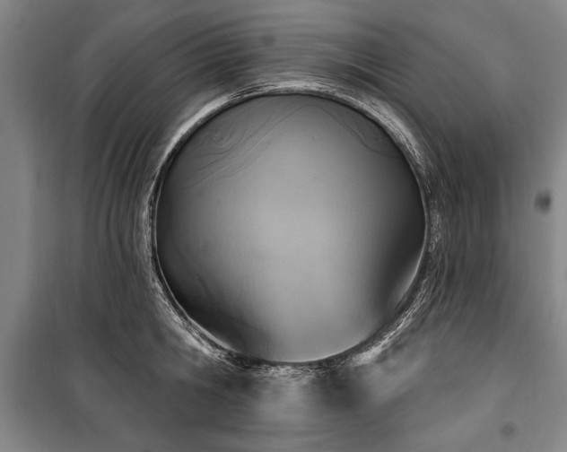 X0000101200806200806271349
