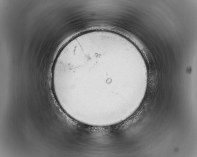 X0000101200807200806271349