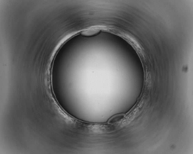 X0000101200808200806271349