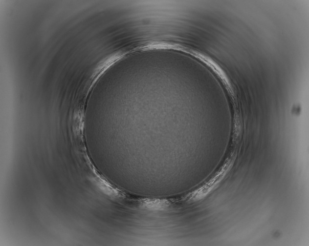 X0000101200809200806271349