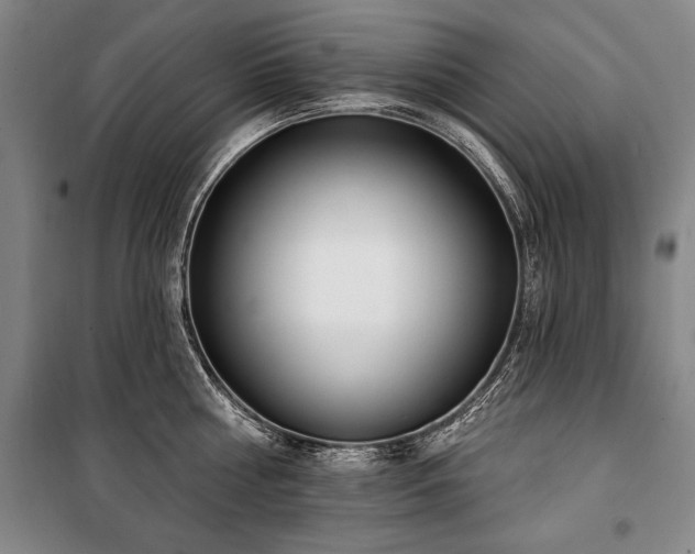 X0000101200810200806271349