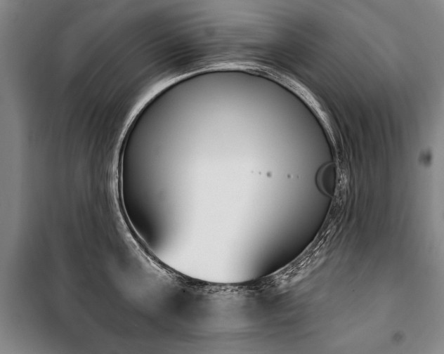 X0000101200811200806271349