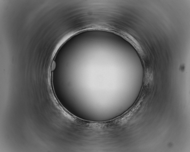 X0000101200812200806271349