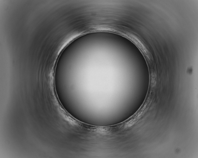X0000101200814200806271349